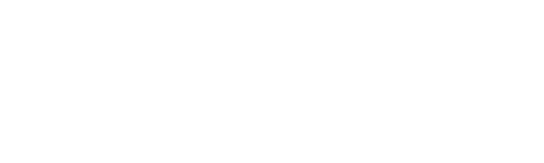 fogal-f-white